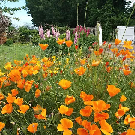 فندق مبيت وإفطار La Roseliere