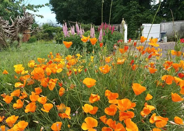 فندق مبيت وإفطار La Roseliere